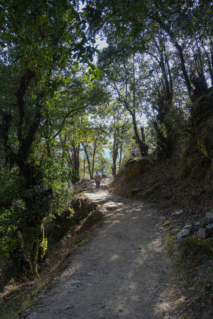 Hike towards Cheri Monastery